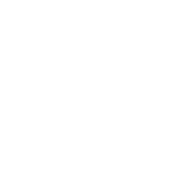 ce logo Westminster