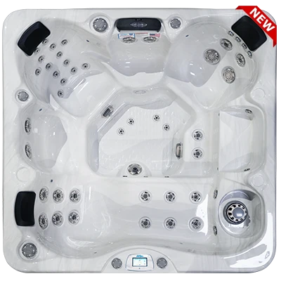 Avalon-X EC-849LX hot tubs for sale in Westminster